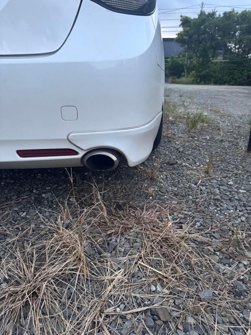 ドラゴンスリーキャッツステンレスマフラー マークX