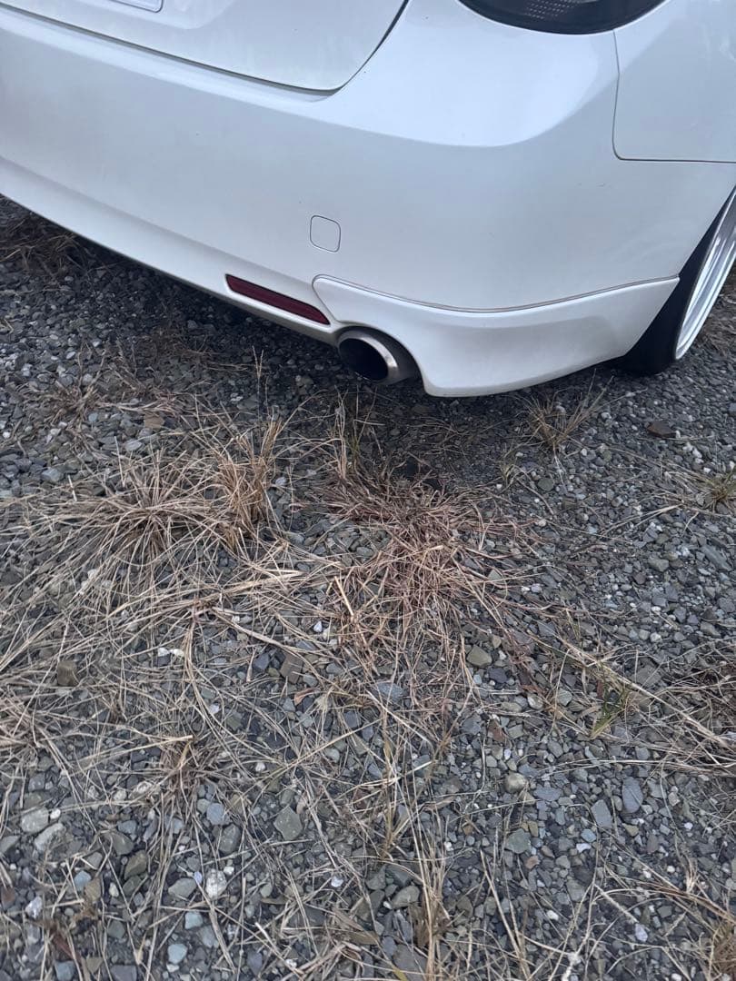 ドラゴンスリーキャッツステンレスマフラー マークX