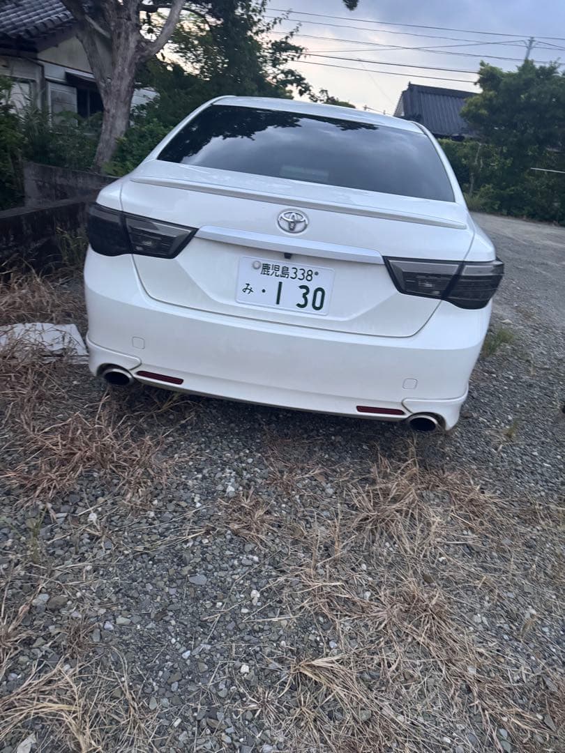 ドラゴンスリーキャッツステンレスマフラー マークX