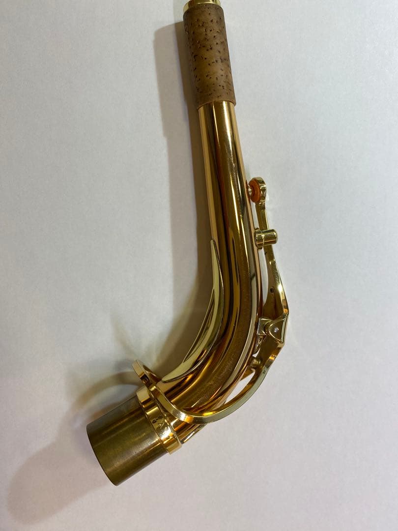 【中古良品】ヤナギサワ　アルトサックス　A-WO2 ネック　プラスチックケース入