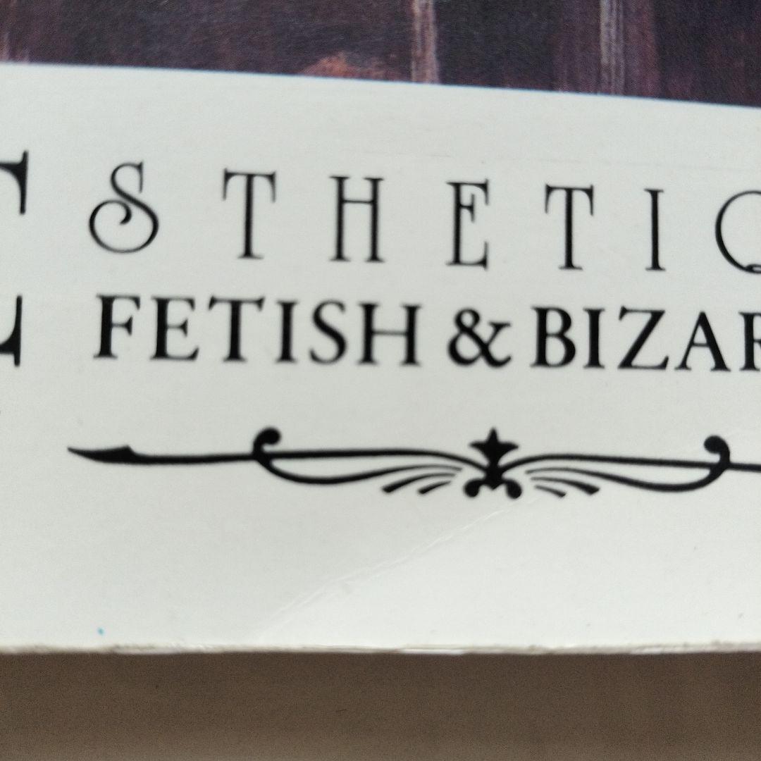 スタントンTHE ART OF STANTON MASTER OFBIZARRE