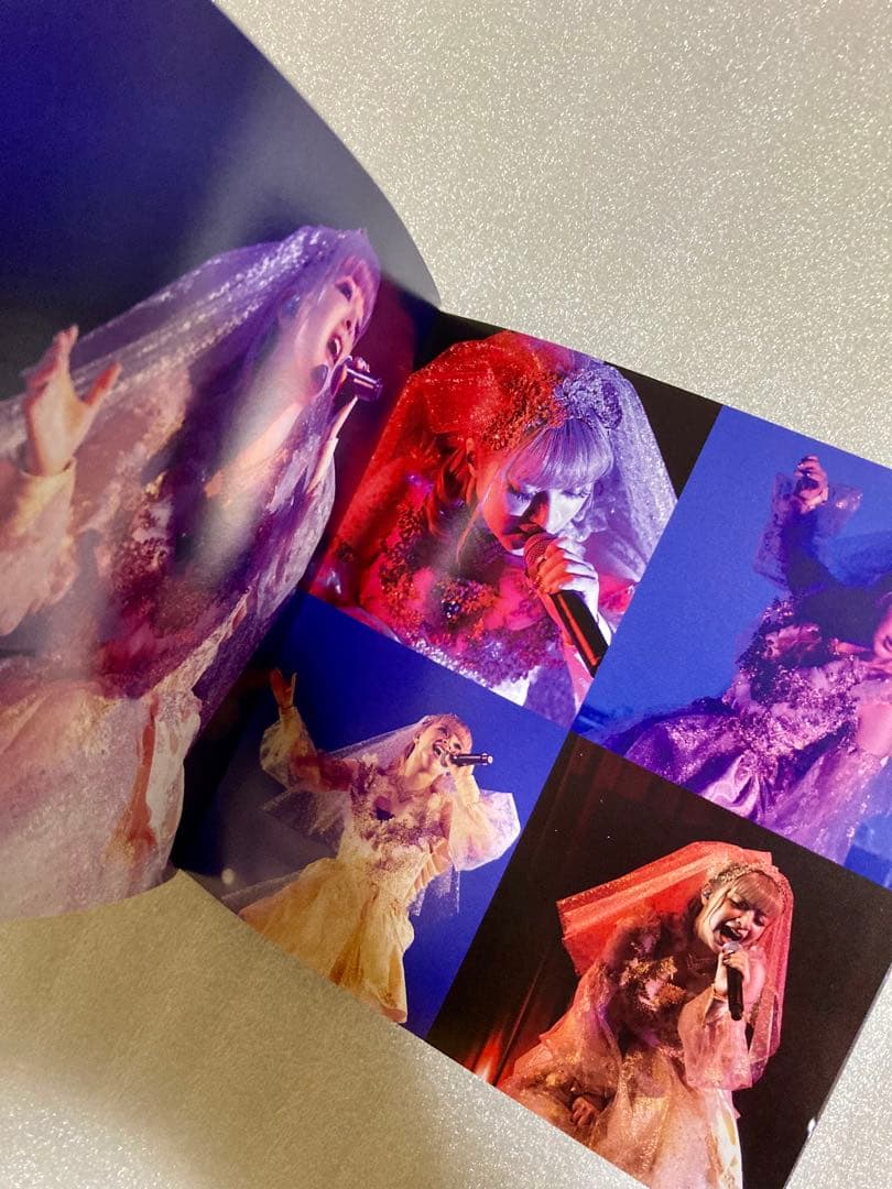 GARNiDELiA 起死回生 Premium Live 2枚組DVD