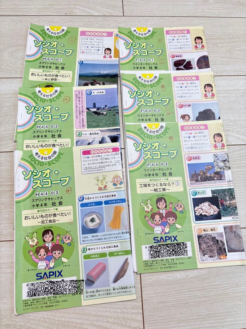 SAPIX 4年 社会　デイリー&春期＆夏期＆冬期セット