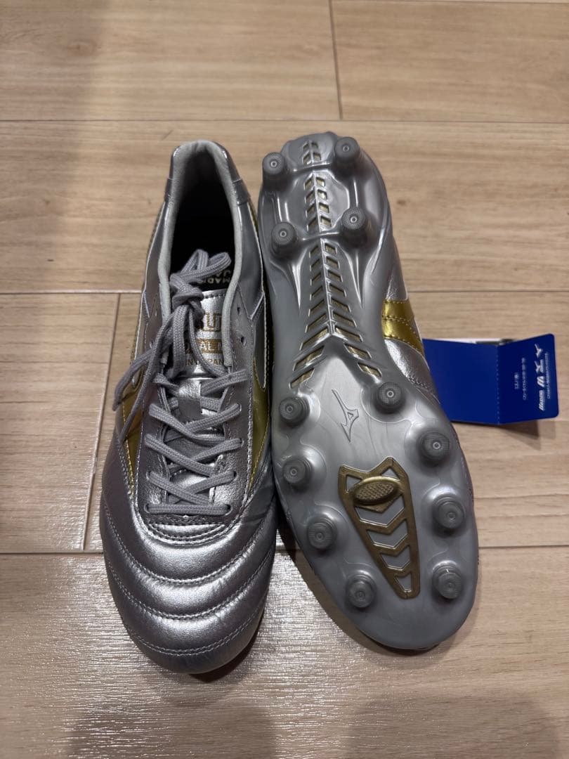 Mizuno モレリアDNA 25.5