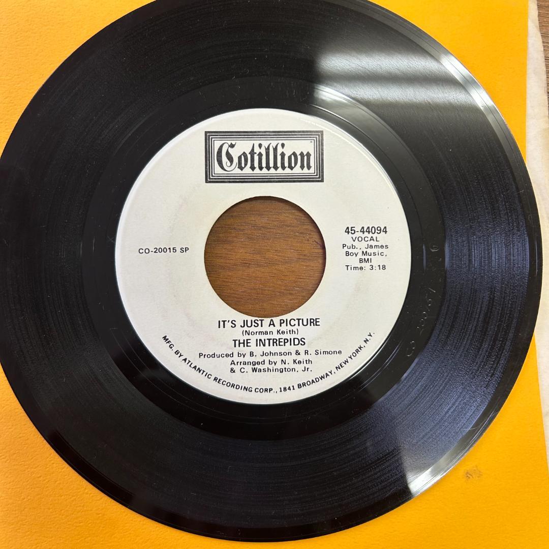 THE INTREPIDS／IT'S JUST A PICTURE