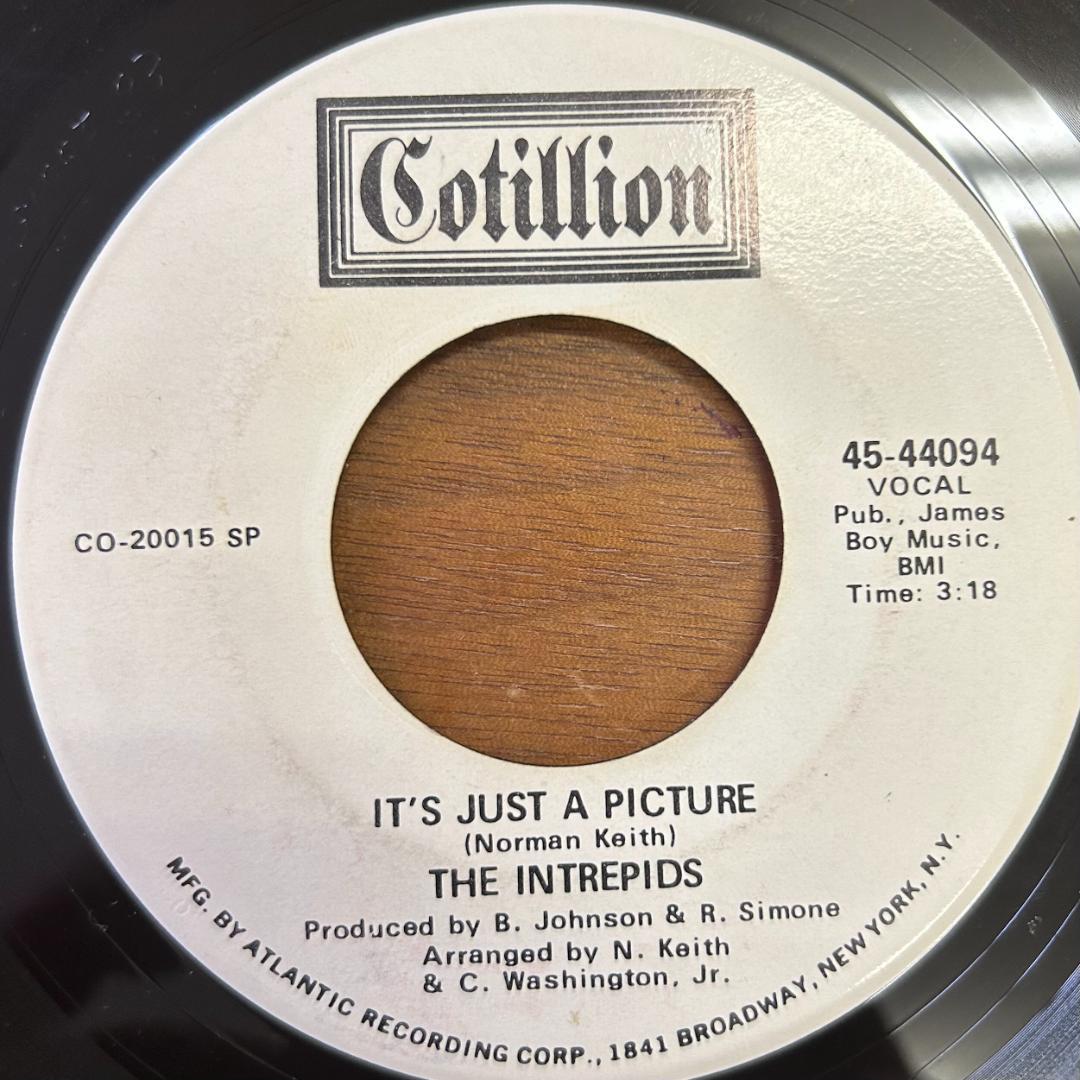 THE INTREPIDS／IT'S JUST A PICTURE