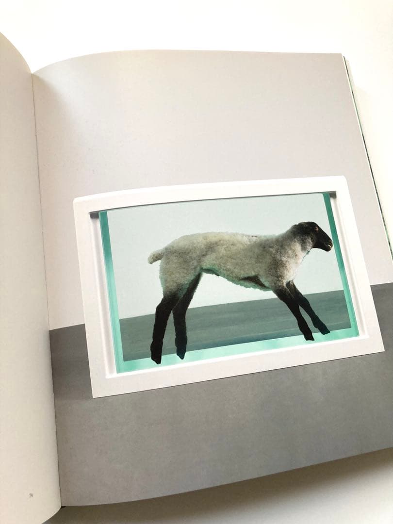 ダミアン・ハースト（Damien Hirst）「Relics（残存）」展図録