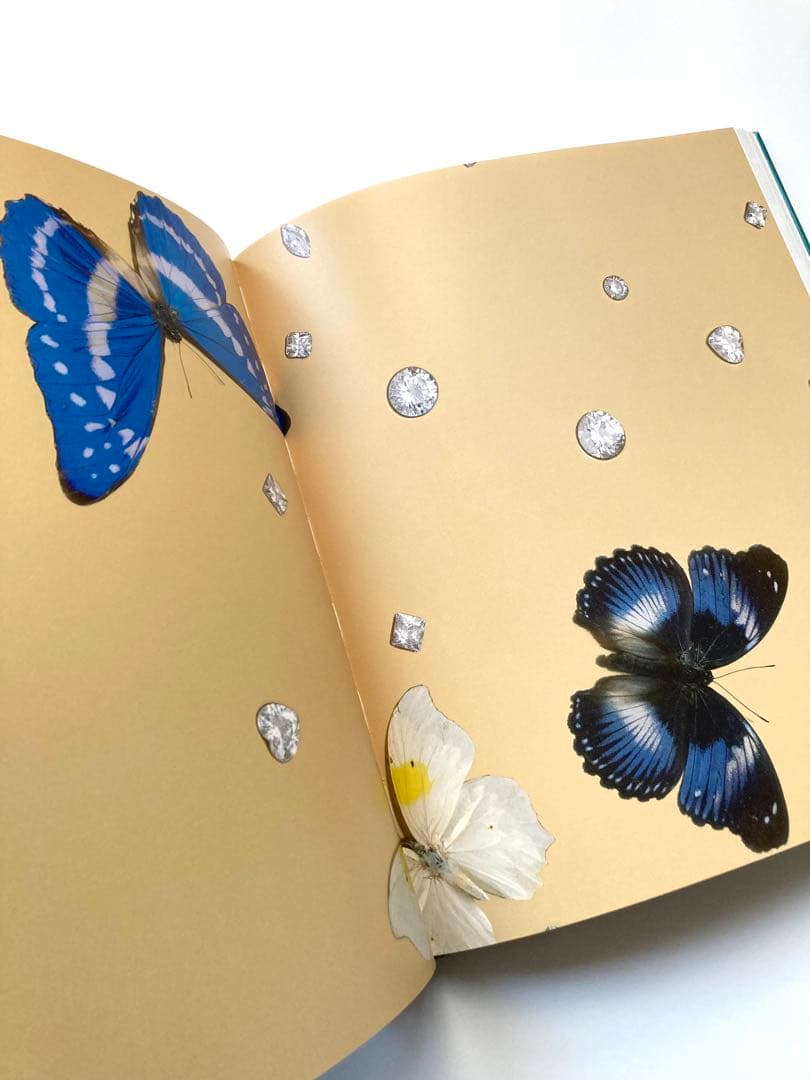 ダミアン・ハースト（Damien Hirst）「Relics（残存）」展図録