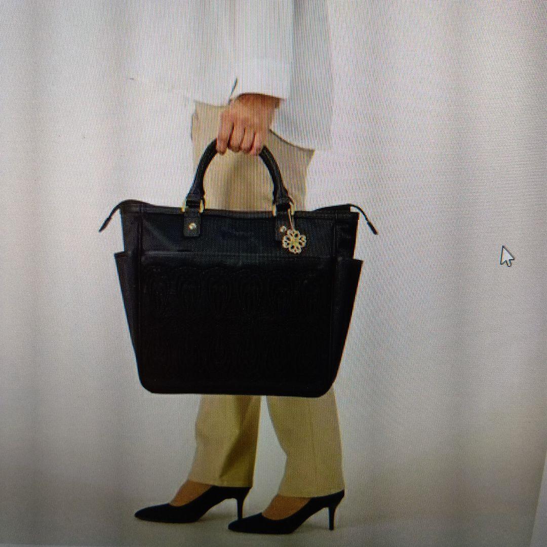 スワニーバッグ　キャリーバッグ D-595M18 近沢レース店コラボノワール