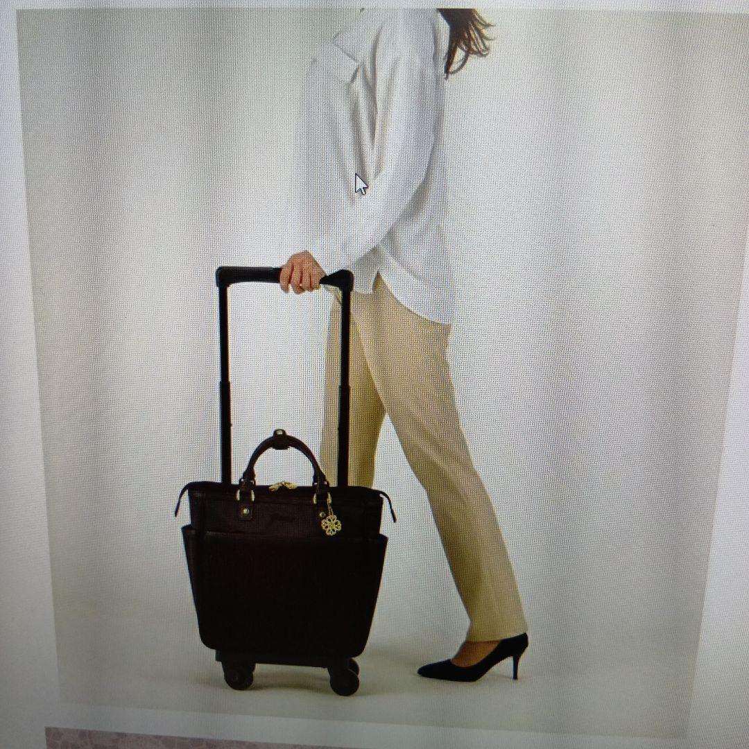 スワニーバッグ　キャリーバッグ D-595M18 近沢レース店コラボノワール