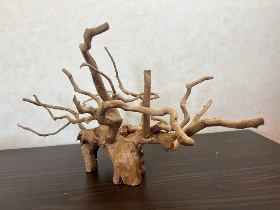 63001 ブランチウッド　流木　アクアリウム　沈水確認済