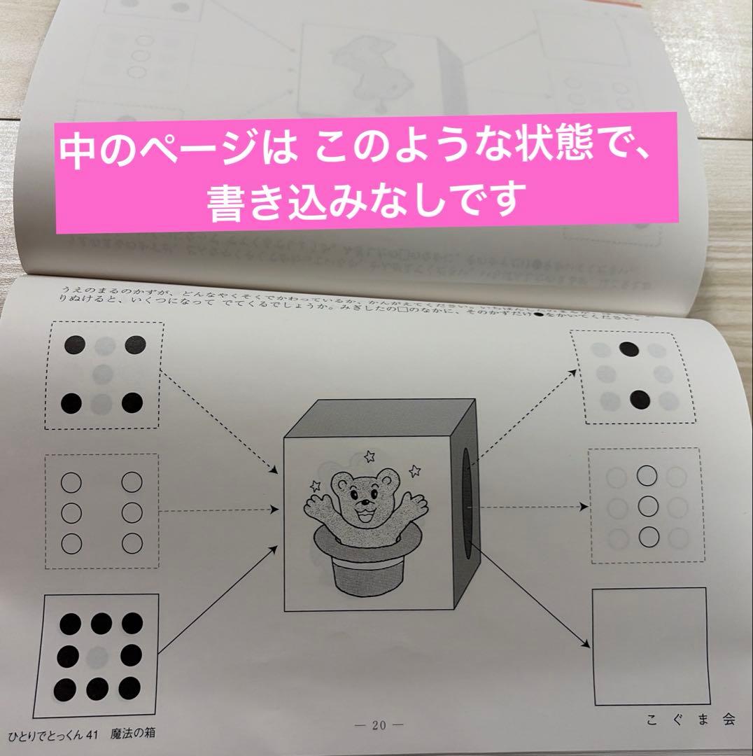 ピグマリオン能力育成問題集【44冊セット売り】