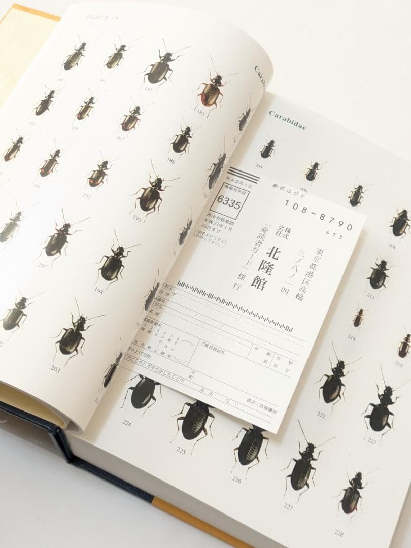 新訂 原色昆虫大圖鑑 第2巻 甲虫篇 北隆館 Ⅱ 甲虫編 図鑑