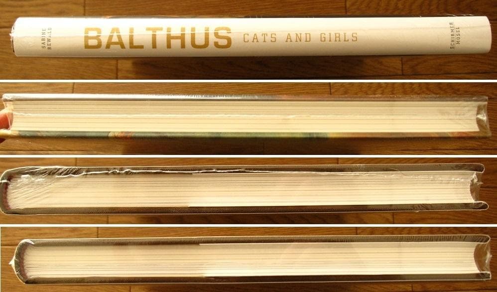 Balthus - Cats and Girls　バルテュス