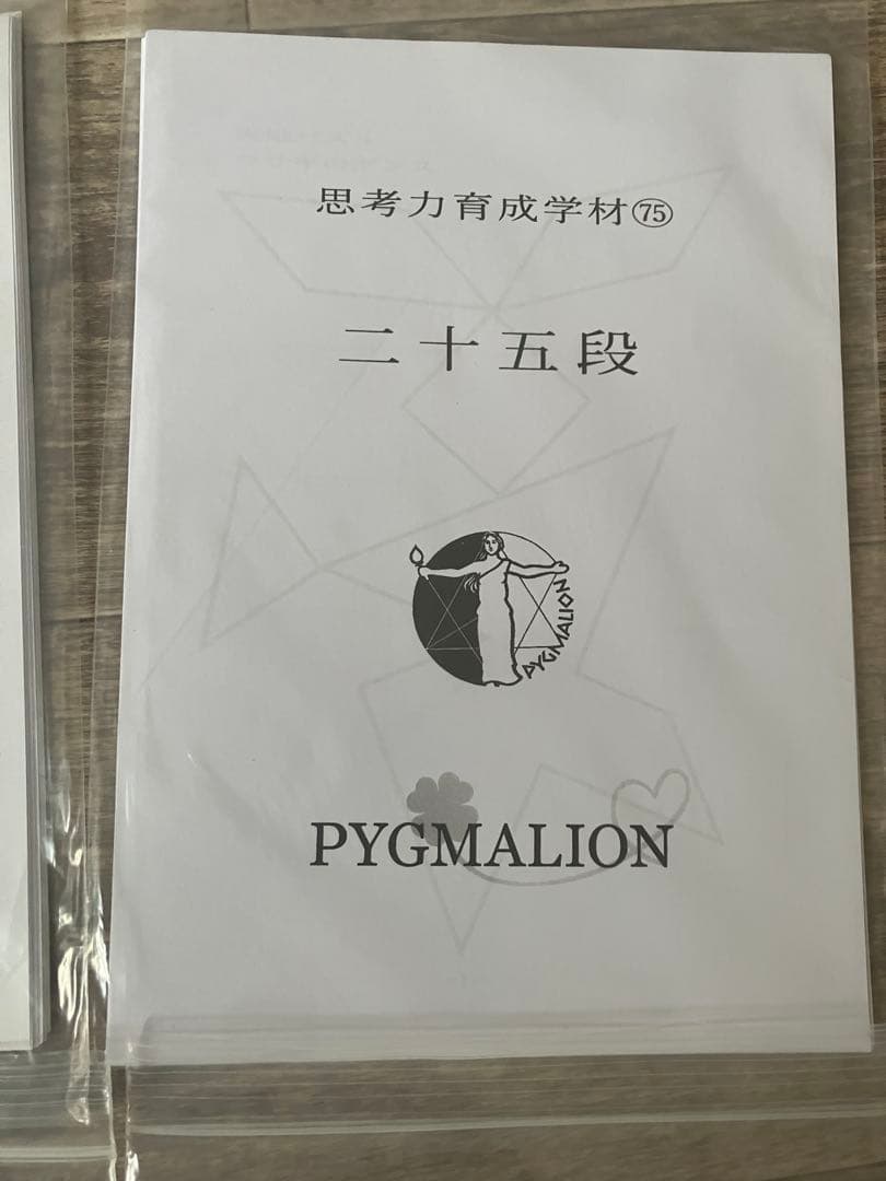 【希少・袋入】ピグマリオン 思考力育成教材 17点セット 二十一段〜三十二段
