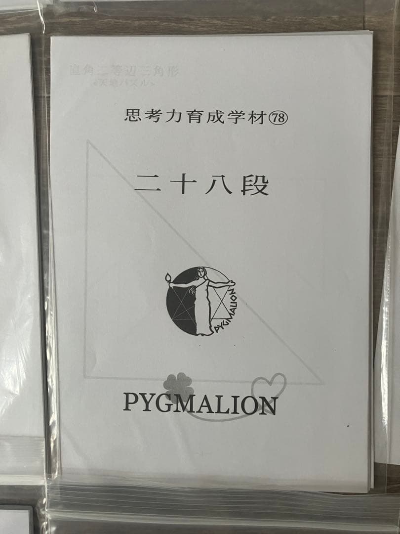 【希少・袋入】ピグマリオン 思考力育成教材 17点セット 二十一段〜三十二段