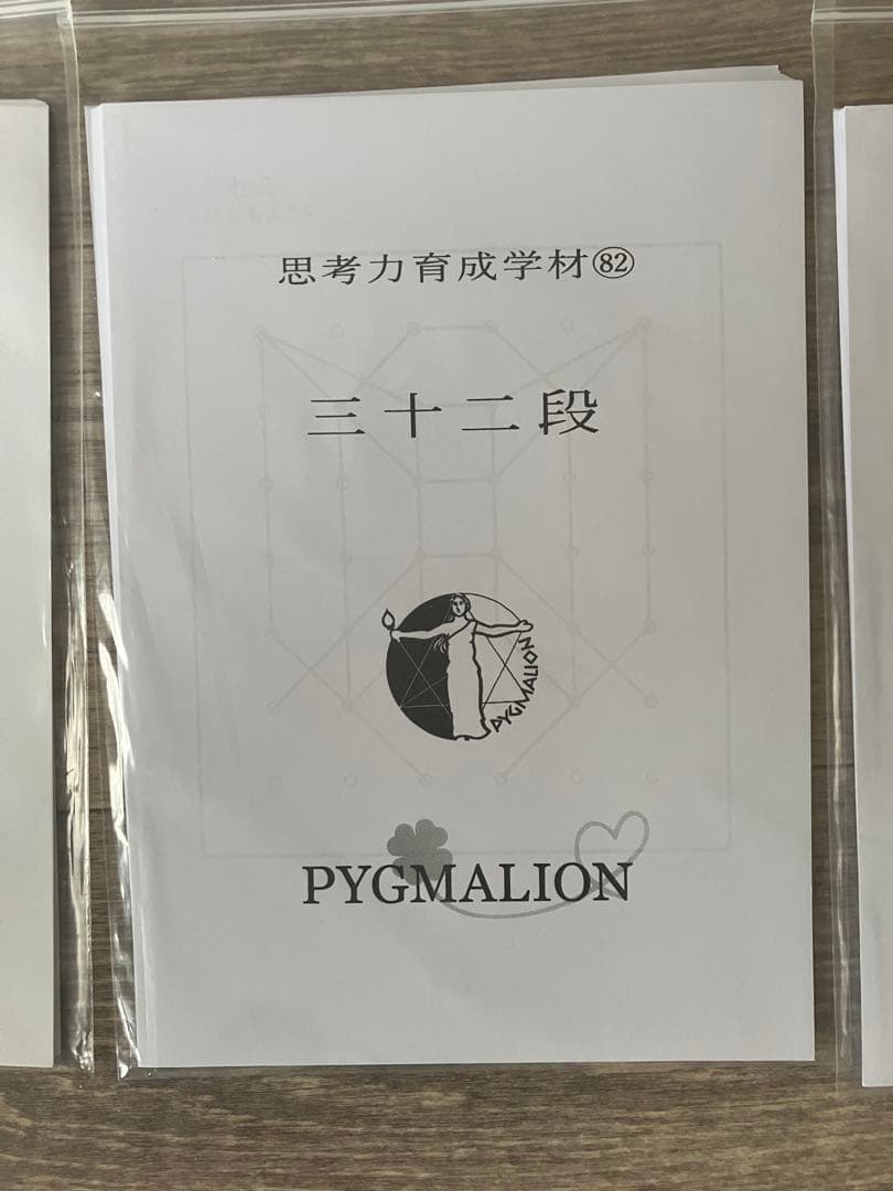 【希少・袋入】ピグマリオン 思考力育成教材 17点セット 二十一段〜三十二段