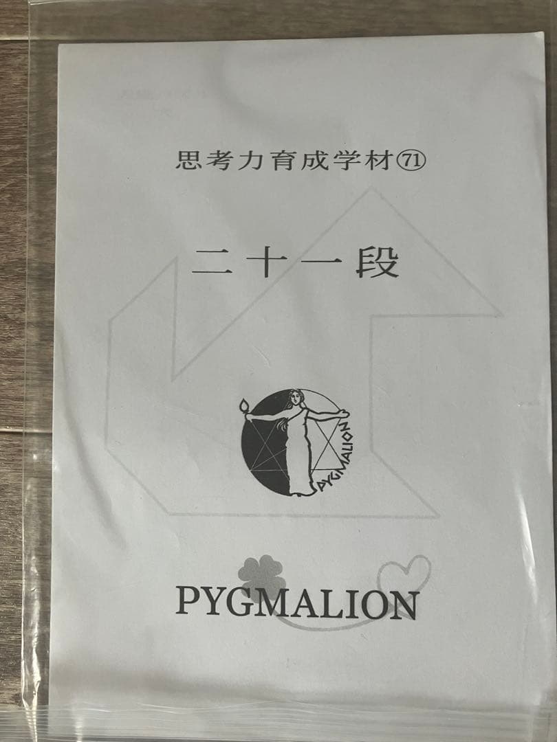 【希少・袋入】ピグマリオン 思考力育成教材 17点セット 二十一段〜三十二段
