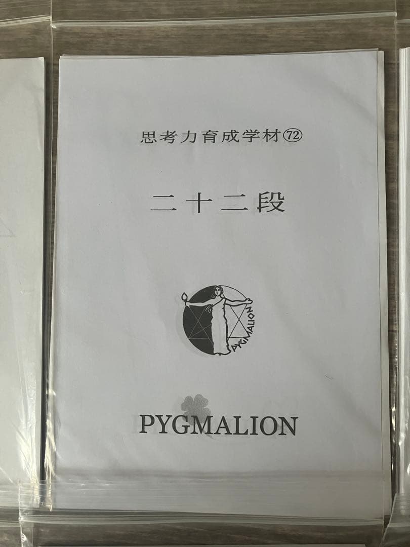 【希少・袋入】ピグマリオン 思考力育成教材 17点セット 二十一段〜三十二段