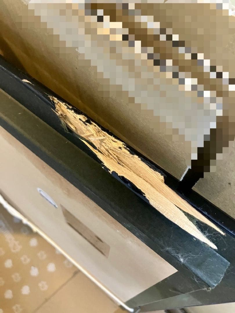 ラッセン 絵画「マジカルモーメント」イルカ