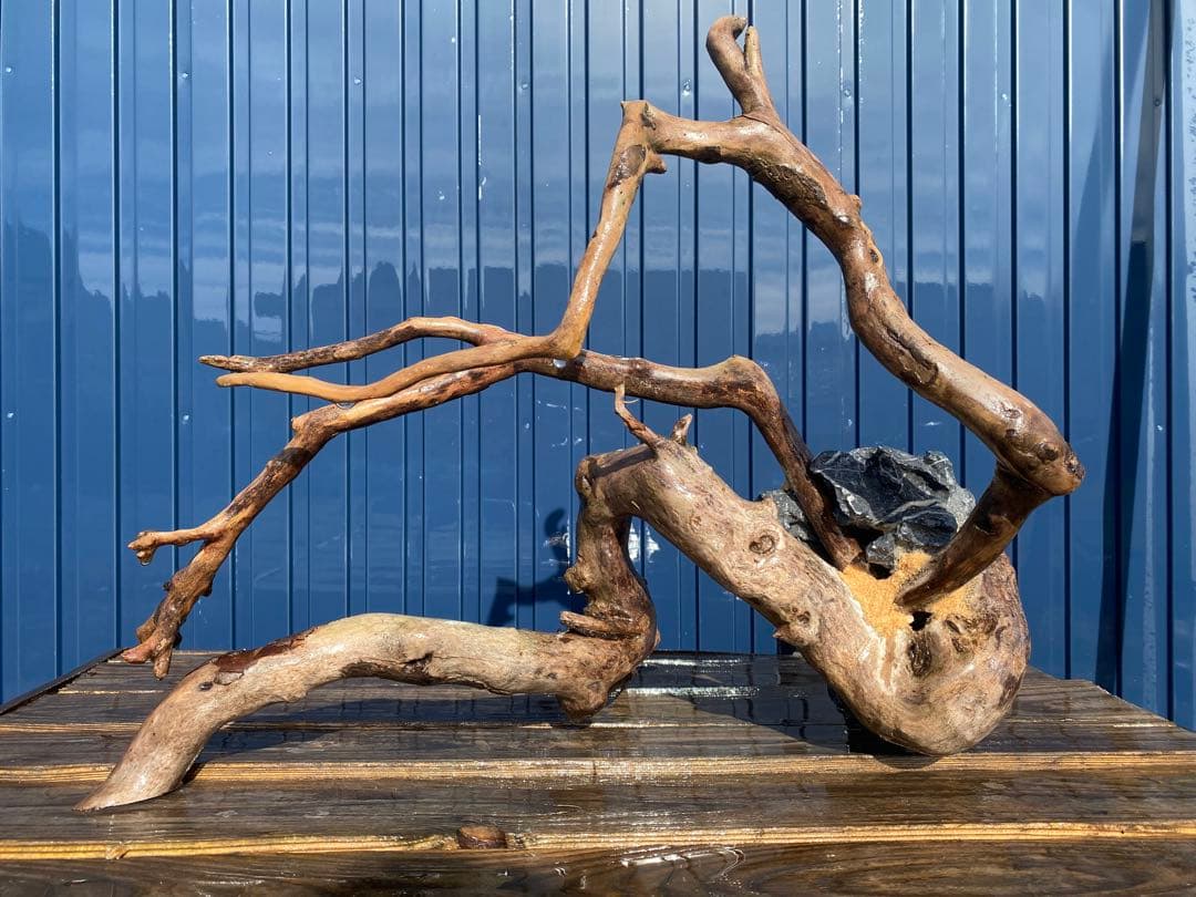 流木レイアウト A861