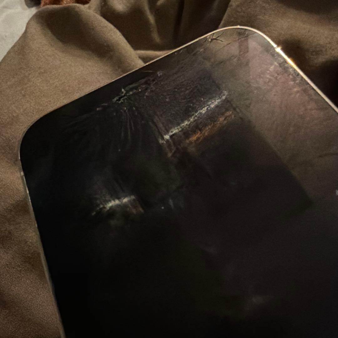 iPhone12 Pro 使用可能　本体