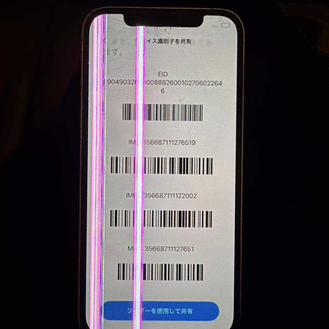 iPhone12 Pro 使用可能　本体