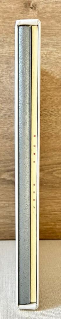 ANA九州日和 伊集院静×本上まなみ×荒木経惟　非売品　限定2500部