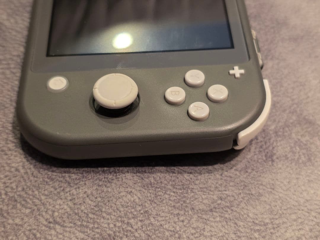 Switchライト グレー 2021