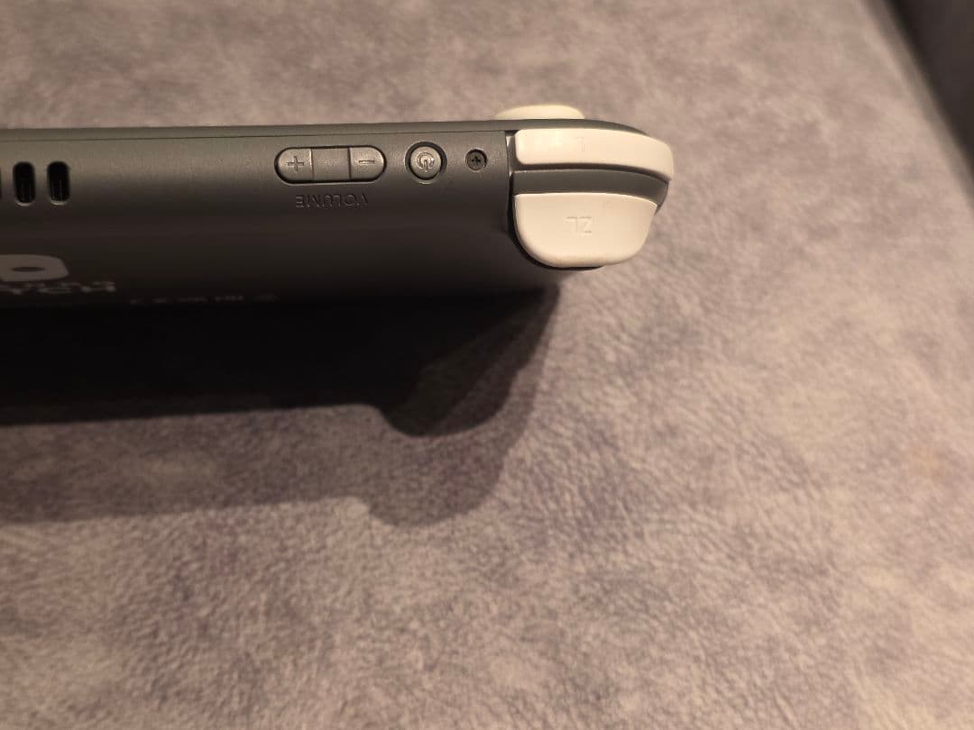 Switchライト グレー 2021