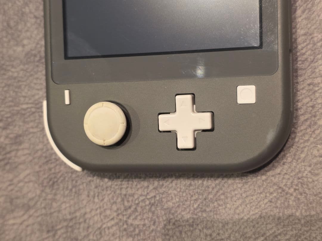 Switchライト グレー 2021