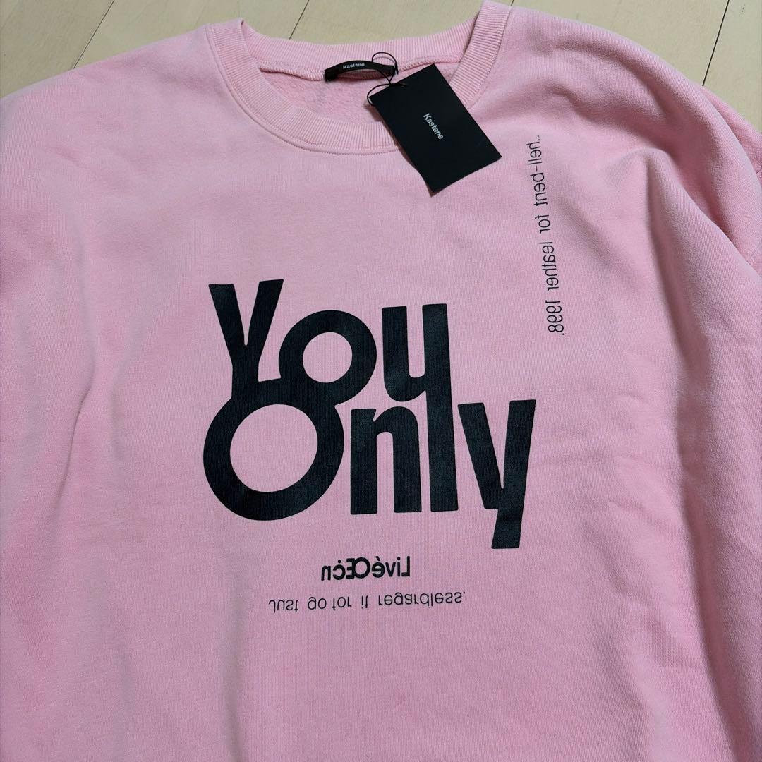 kastaneカスタネ山田yamada企画ウォッシュドロゴスウェット　ピンク