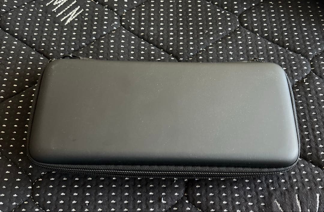 Nintendo Switch ライト　　グレー ケース付き