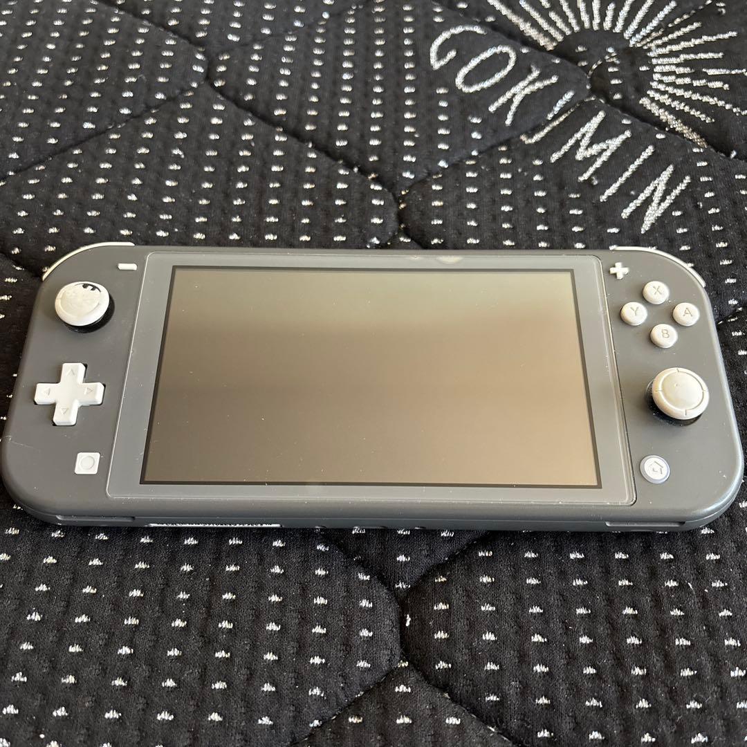 Nintendo Switch ライト　　グレー ケース付き