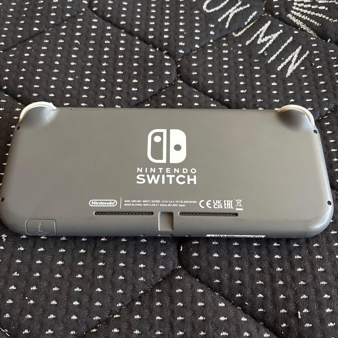 Nintendo Switch ライト　　グレー ケース付き