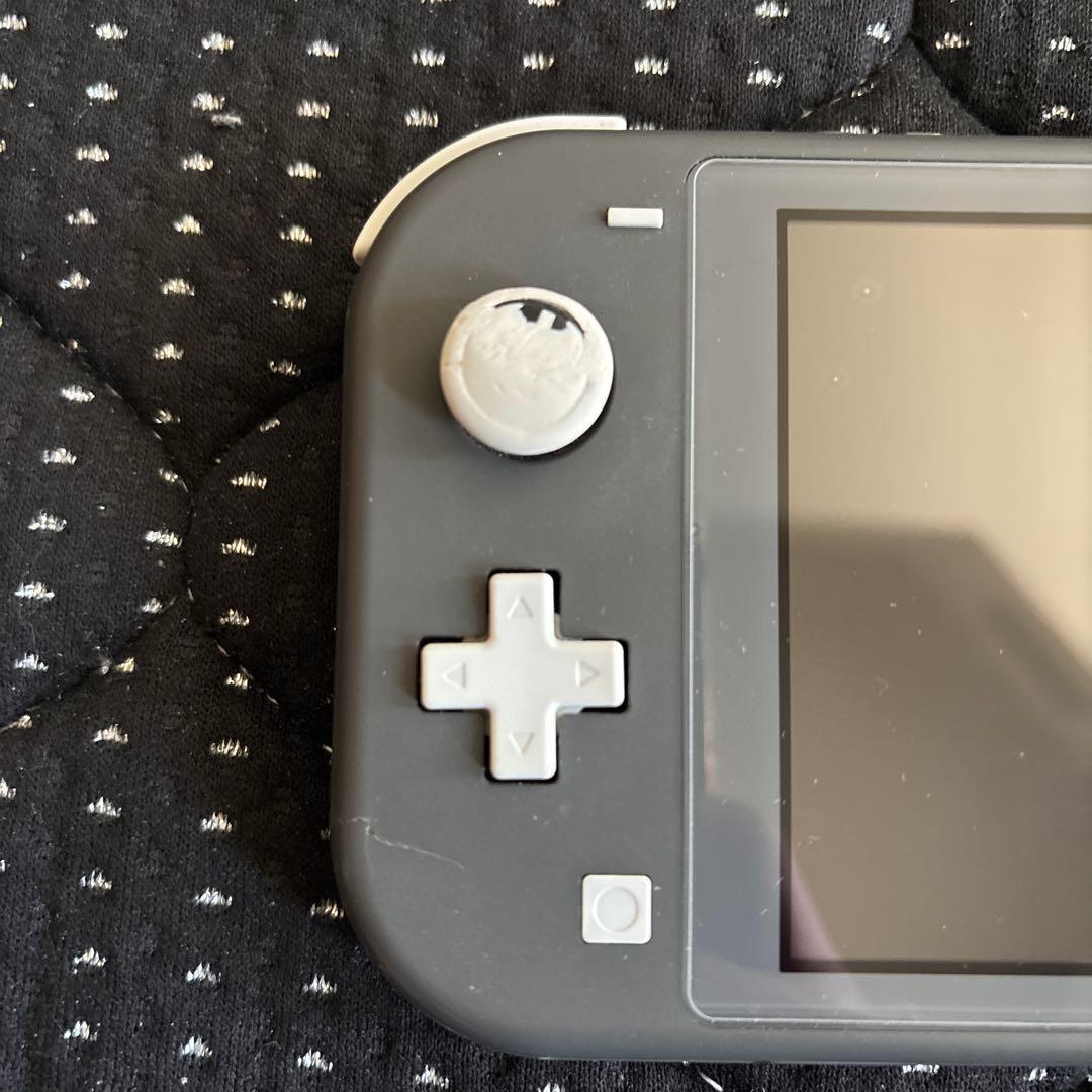 Nintendo Switch ライト　　グレー ケース付き