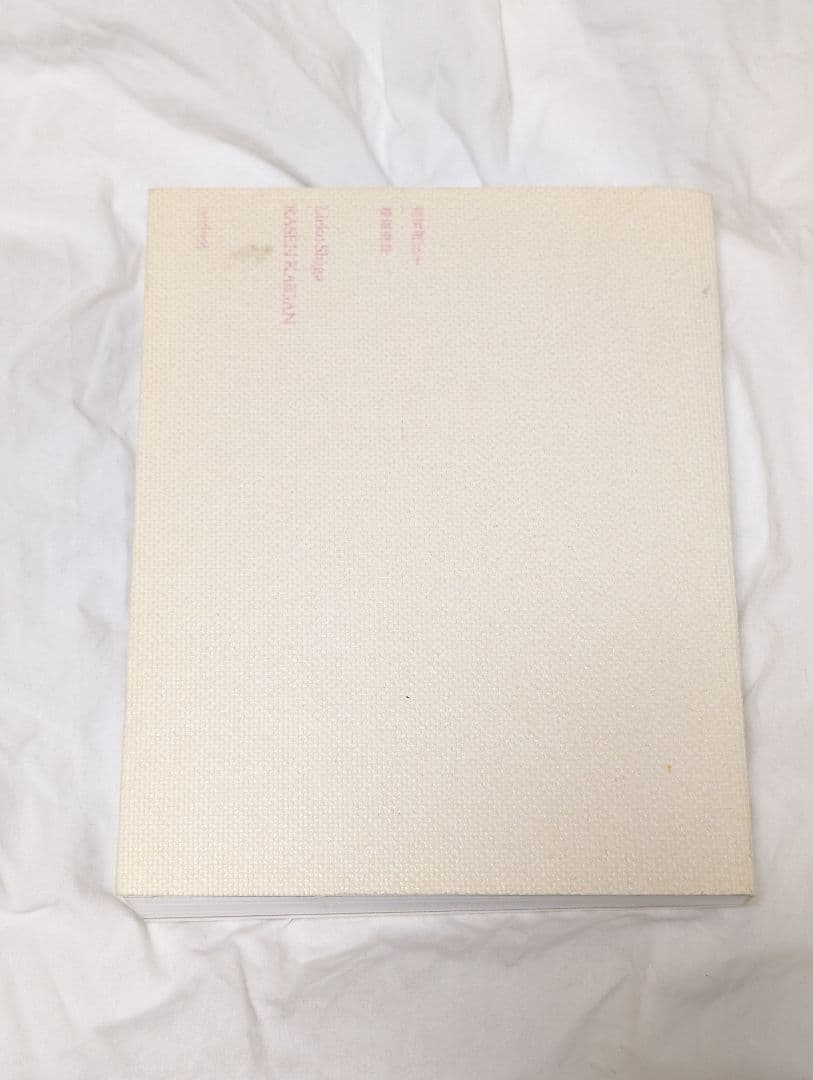 螺旋海岸　notebook　志賀理江子