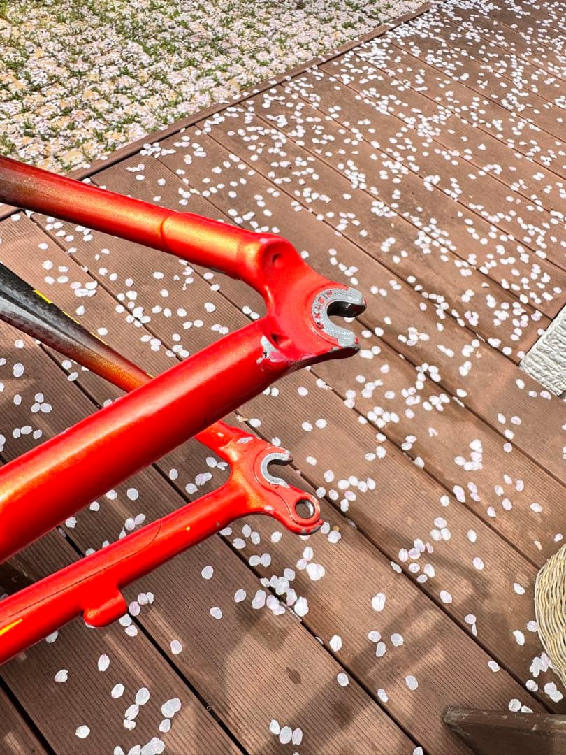 クラインqカーボンチームフレーム 希少  Q-Carbon TEAM