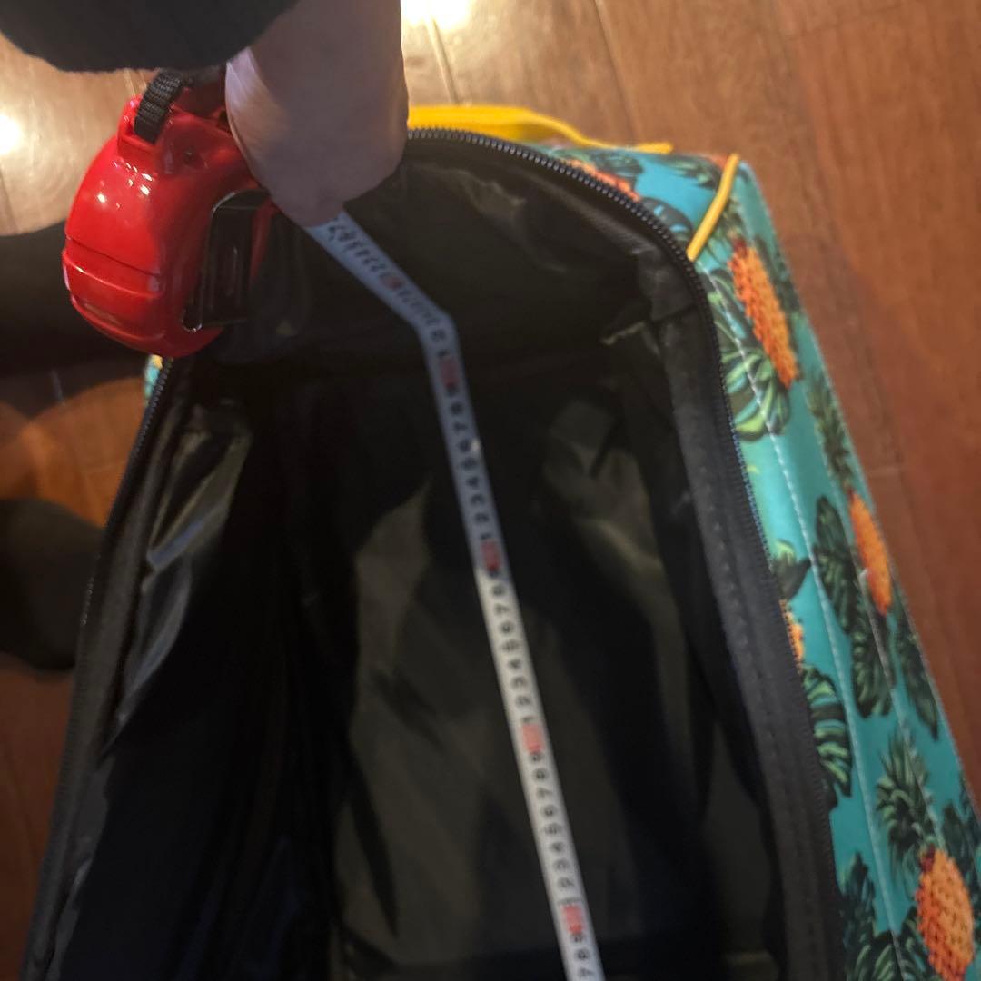 パイナップル柄キャディバッグ カバータイヤとクッション付きTOURTRE