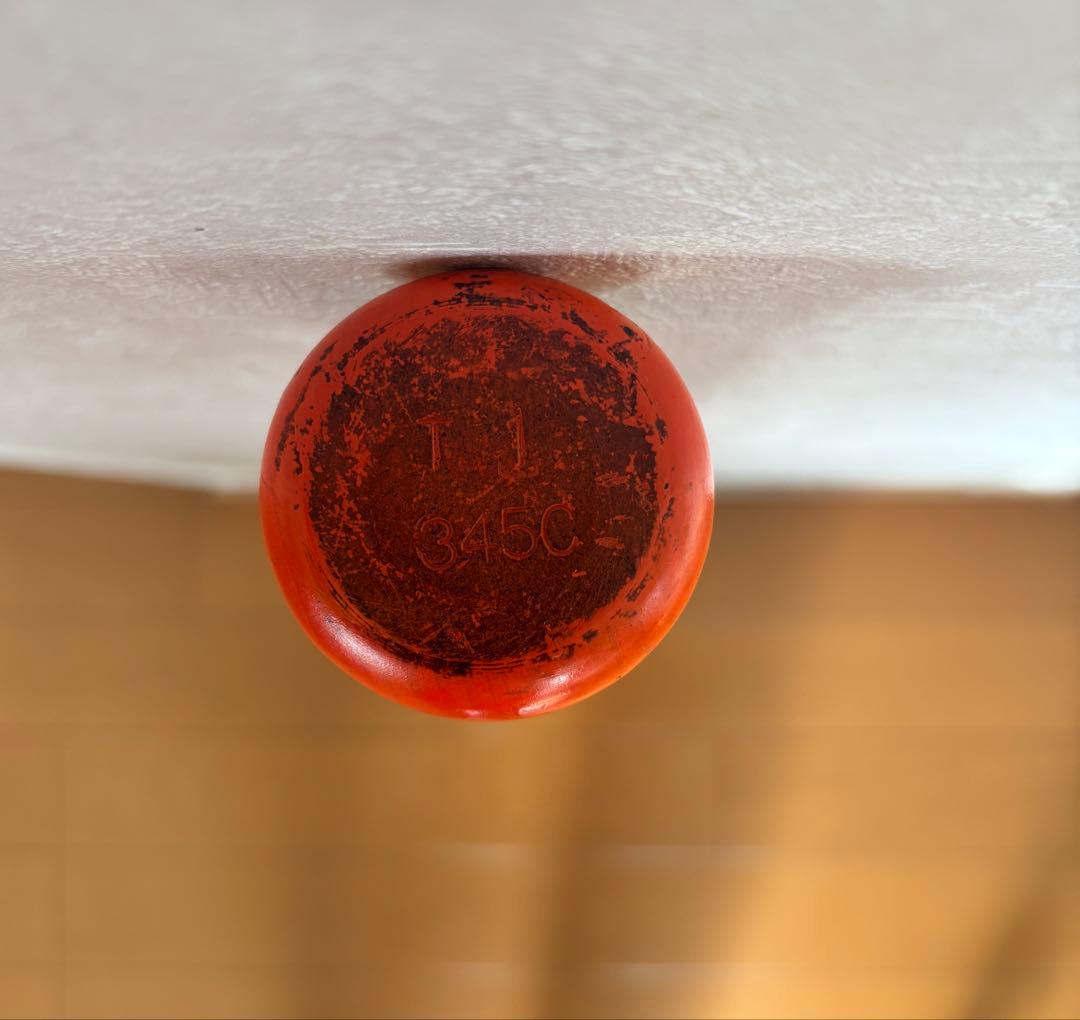 鳥谷敬　実使用バット　プロ支給品 　【侍ジャパン】