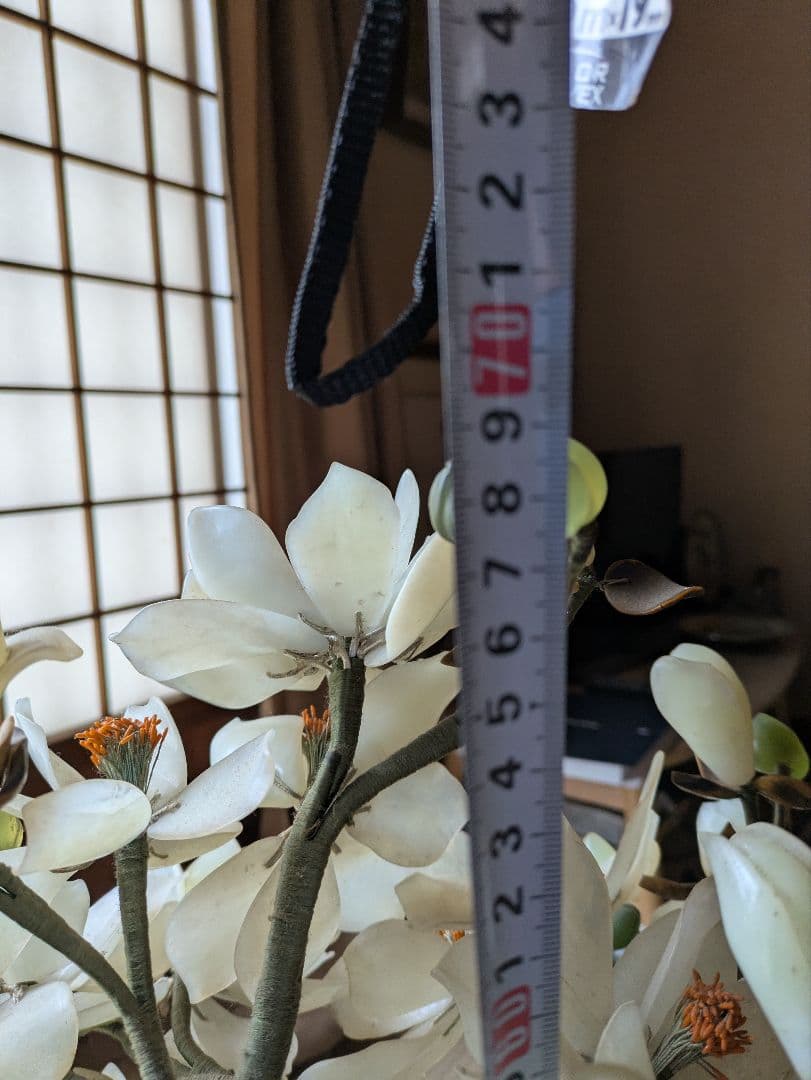 白玉 、玉蘭中型 置物