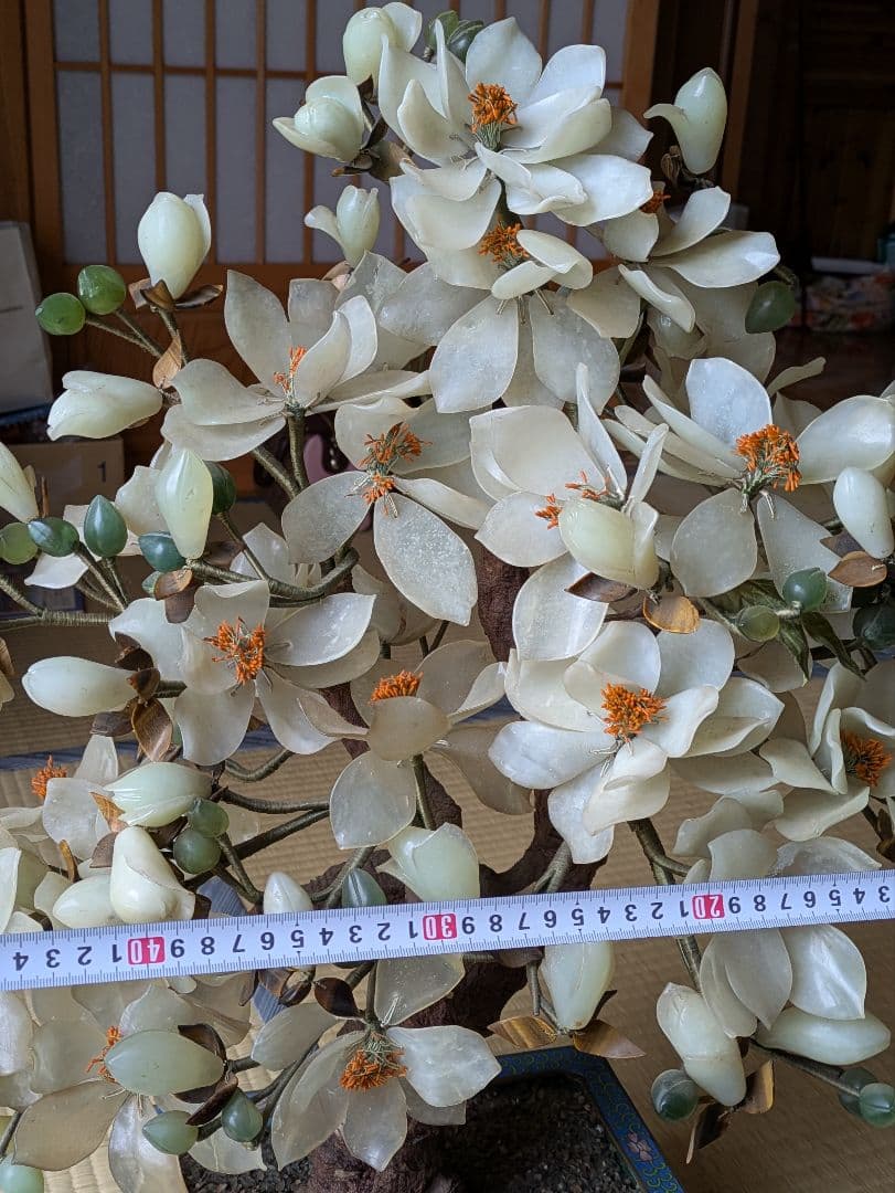 白玉 、玉蘭中型 置物