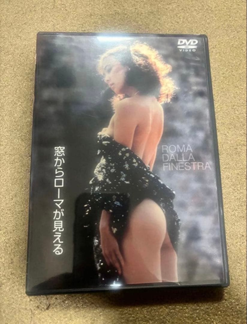 美品 レア品 窓からローマが見える セル版 DVD パンフレット付