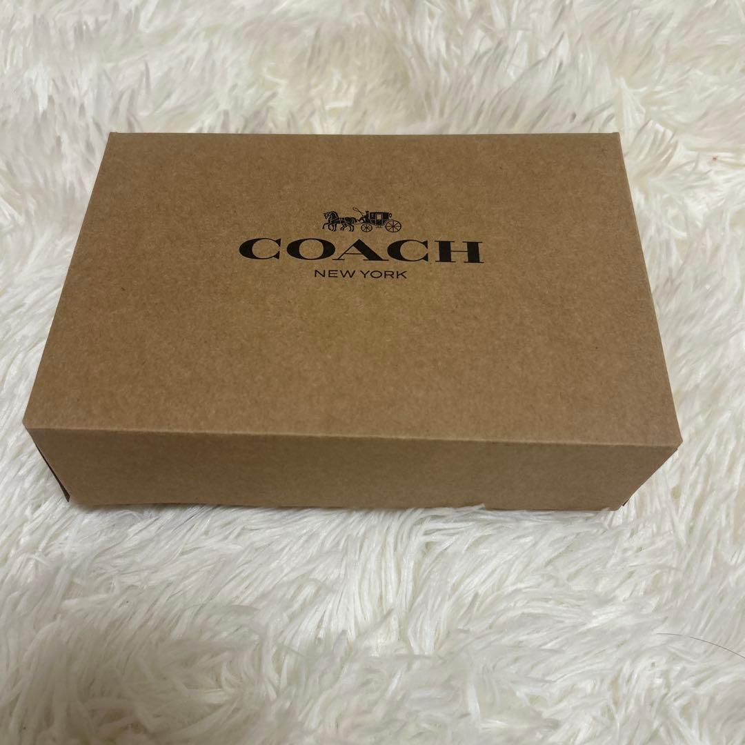 未使用級 コーチ ミニ バッグチャーム 小物入れ ローアン　ストロベリー