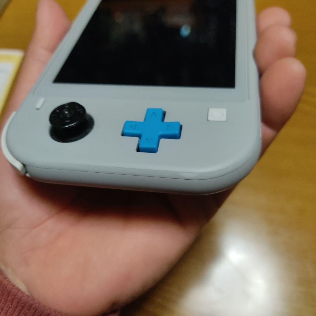 Nintendo SWITCH HDH-001 ザシアン・ザマゼンタ