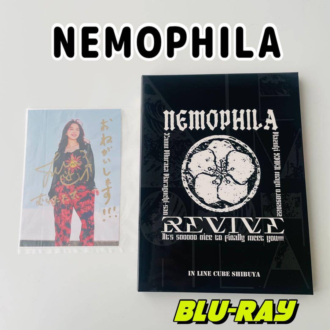 NEMOPHILA/LIVE 2022-REVIVE～It's sooooo …