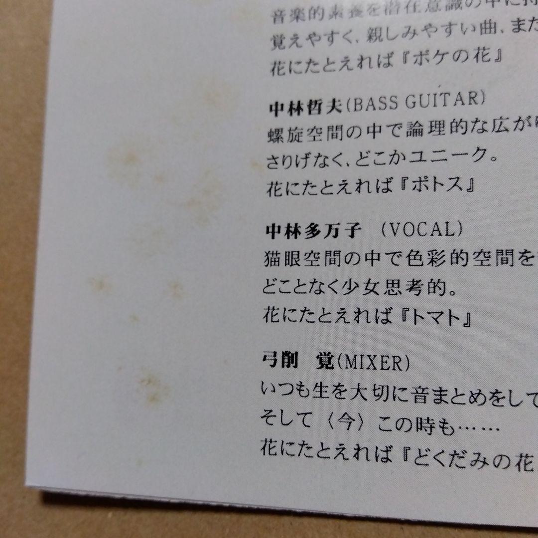 中林哲夫と東京モダンプレイボーイズ　CD