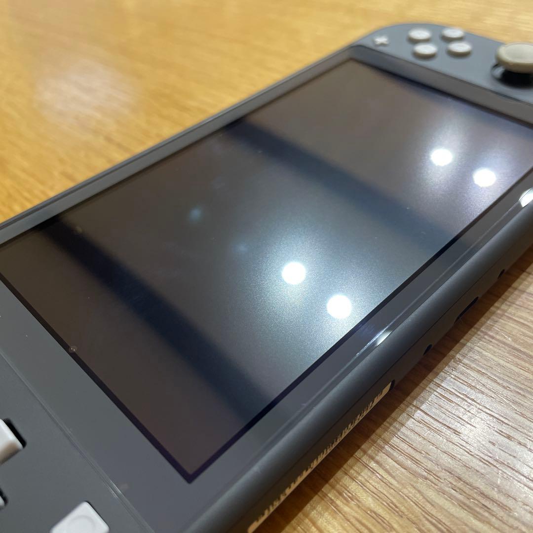 Nintendo Switch Lite グレー本体　動作確認済み　ケース付