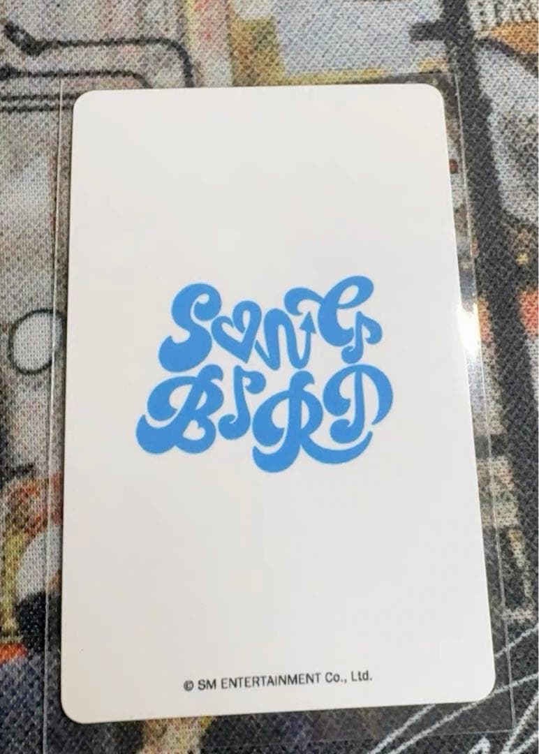 nct wish 中華 kms 1.0 V3 songbird ユウシ 希少