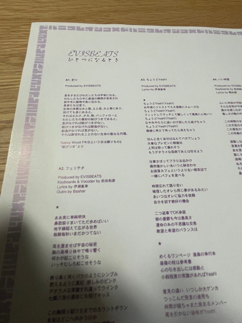 EVISBEATS ひとつになるとき 2LP レコード　ゆれる　いい時間　田我流